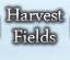 The Harvest Fields: Mission Work